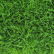 X-Enlever les taches naturelles