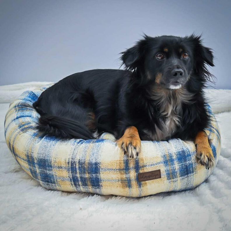 Lit pour chat/lit pour chien - Patron de couture image number 8