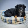 Lit pour chat/lit pour chien - Patron de couture thumbnail number 8