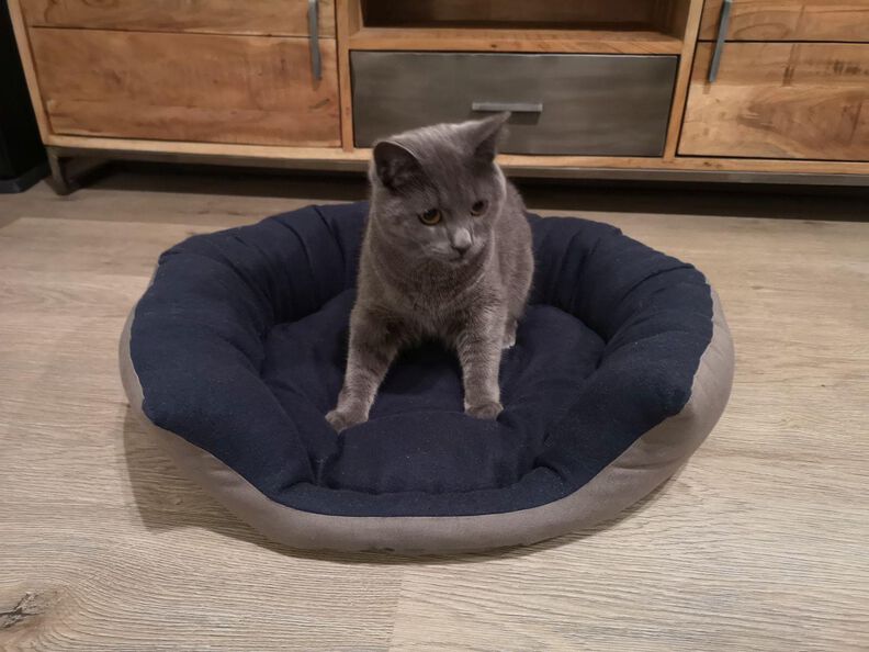 Panier pour chat  image number 6