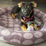 Lit pour chat/lit pour chien - Patron de couture thumbnail number 1