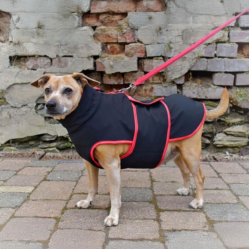 Patron et instructions de couture pour veste pour chien Alma image number 7