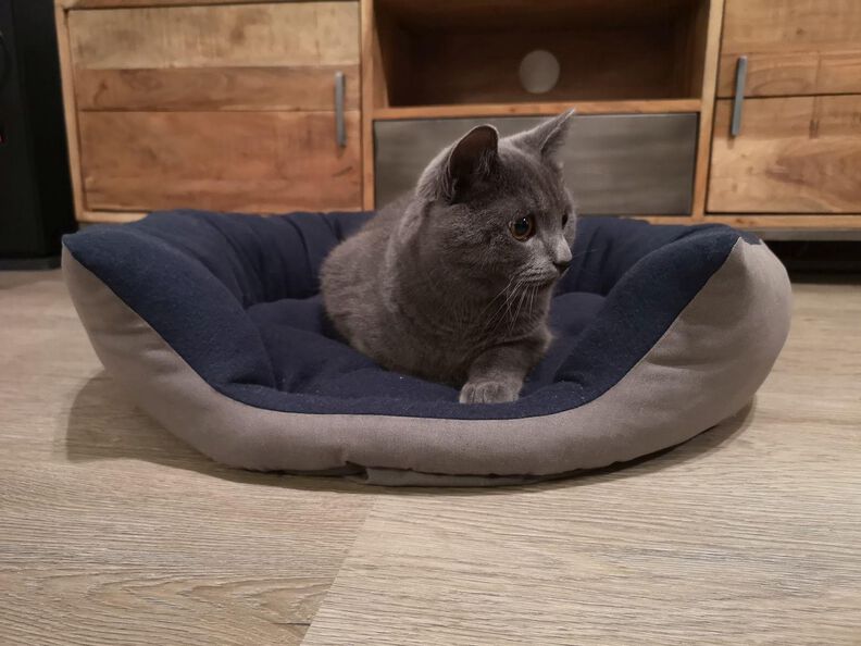 Panier pour chat  image number 4