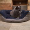 Panier pour chat  thumbnail number 4