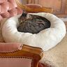 Lit pour chat/lit pour chien - Patron de couture thumbnail number 4