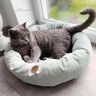 Lit pour chat/lit pour chien - Patron de couture thumbnail number 5