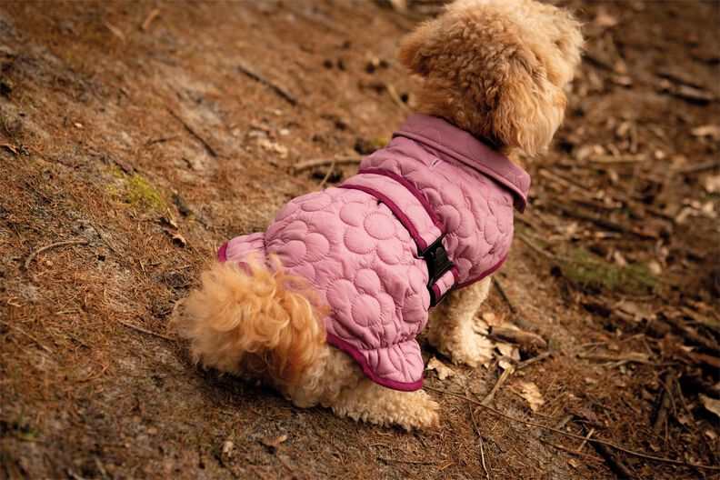 Manteau pour chien P1823 – Poppy Magazine 23 image number 3