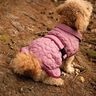 Manteau pour chien P1823 – Poppy Magazine 23 thumbnail number 3