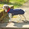 Patron et instructions de couture pour veste pour chien Alma thumbnail number 8