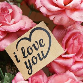 Paroles de la Saint-Valentin - Fichier traceur