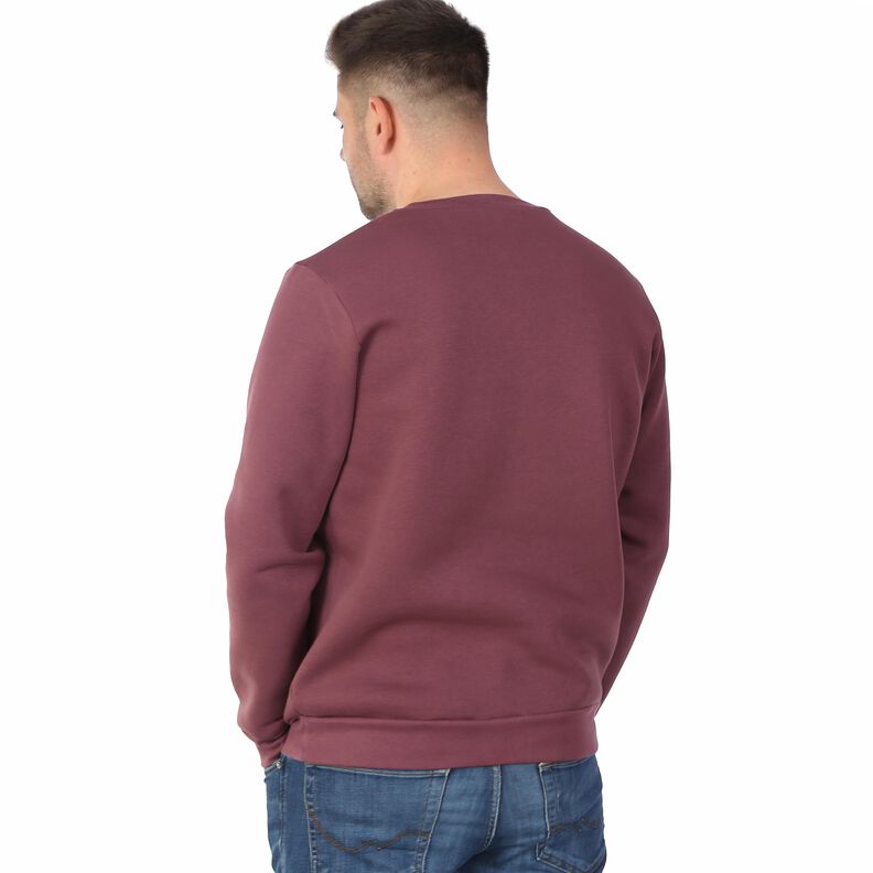 MONSIEUR DENIZ - Sweat intemporel XS-XXL image number 7