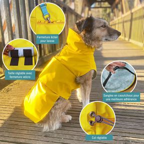 Patron et instructions de couture pour veste pour chien Alma