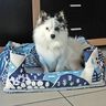 Lit pour chien Alma - patron et instructions de couture thumbnail number 8