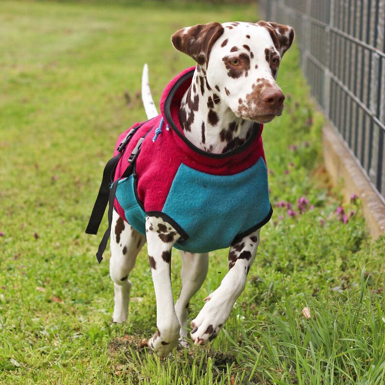 Patron et instructions de couture pour veste pour chien Alma image number 11