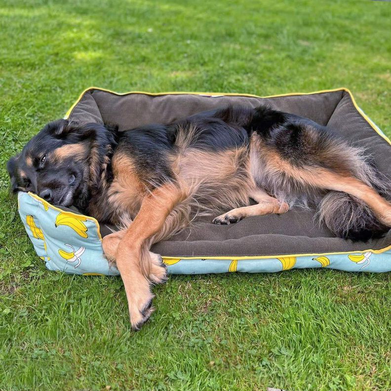 Lit pour chien Alma - patron et instructions de couture image number 6