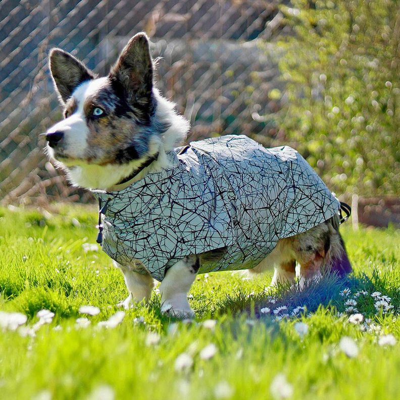 Patron et instructions de couture pour veste pour chien Alma image number 9