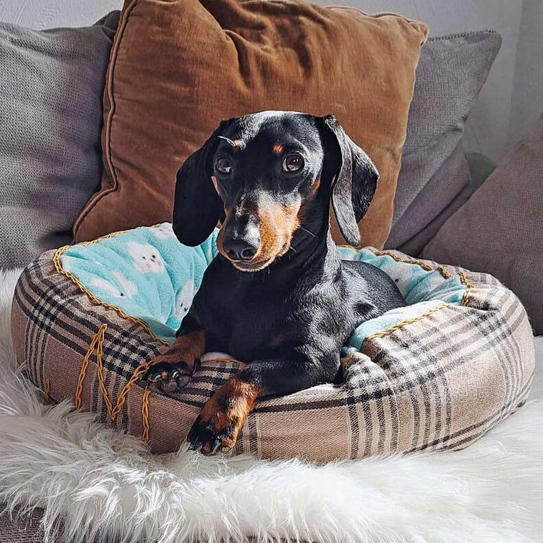 Lit pour chat/lit pour chien - Patron de couture image number 9