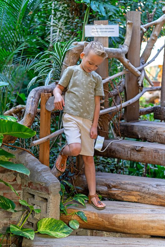 Shorts Joshua Patron de Couture image number 7