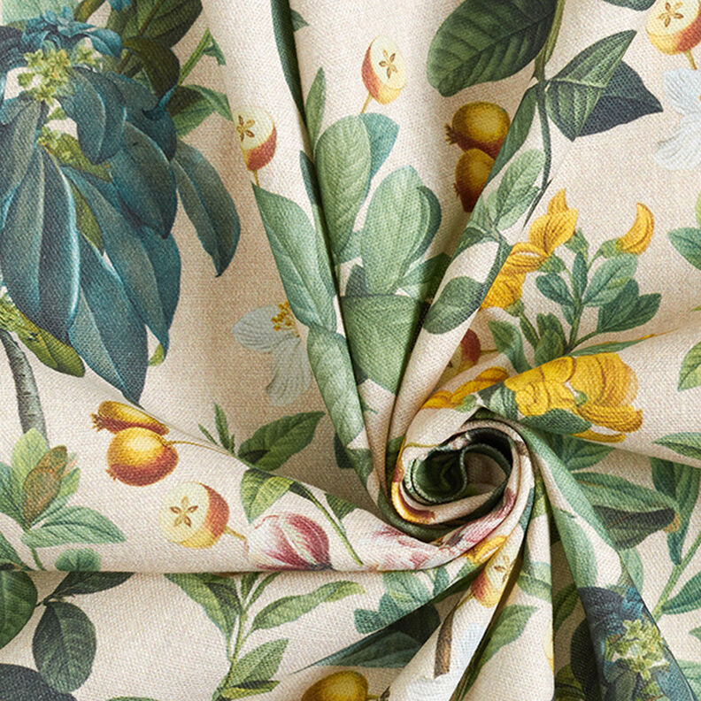 Tissu de décoration Semi-panama Plantes nostalgiques – noix de cajou/pin, image number 3