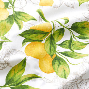 Tissu de décoration Panama Citrons – blanc/jaune citron, 