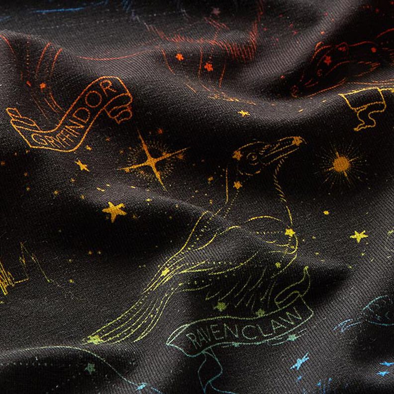 Jersey coton Tissu sous licence Emblèmes constellations Harry Potter | Warner Bros. – noir,  image number 2