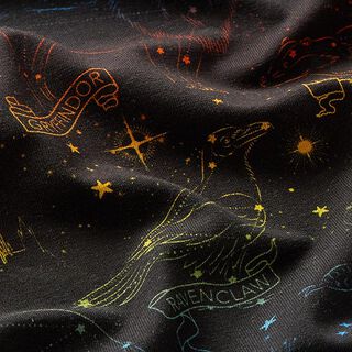 Jersey coton Tissu sous licence Emblèmes constellations Harry Potter  | Warner Bros. – noir, 