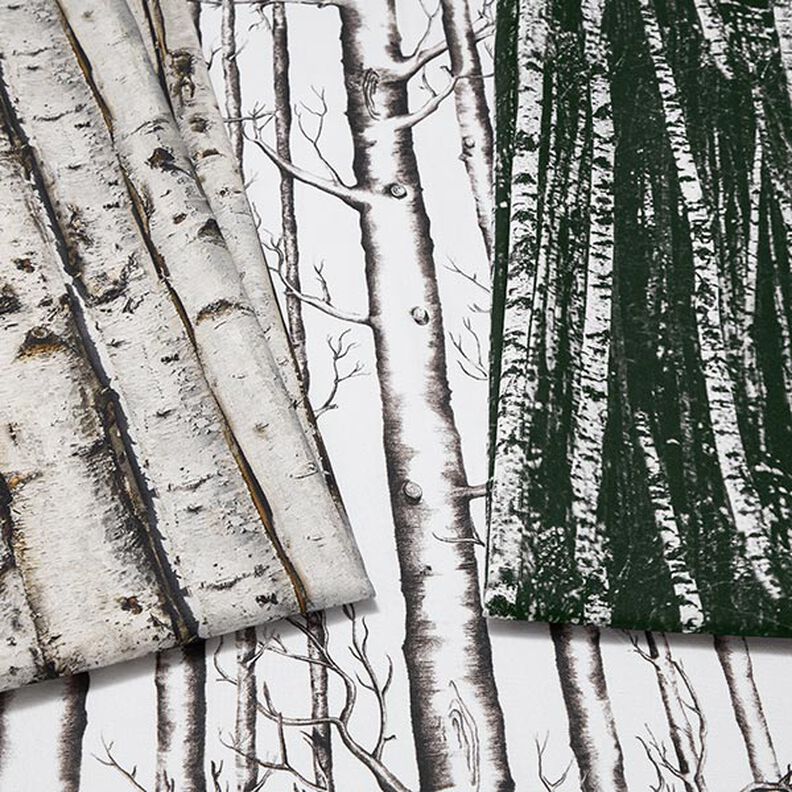 Tissu de décoration Semi-panama troncs de bouleaux – gris clair,  image number 5