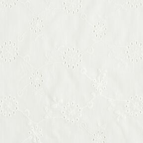 Dentelle brodée Grandes vrilles de fleurs – blanc, 
