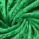 vert herbe
