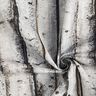 Tissu de décoration Semi-panama troncs de bouleaux – gris clair,  thumbnail number 3