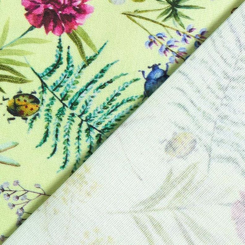 Tissu d’extérieur Canvas Fleurs sauvages & Insectes – vert pastel,  image number 4