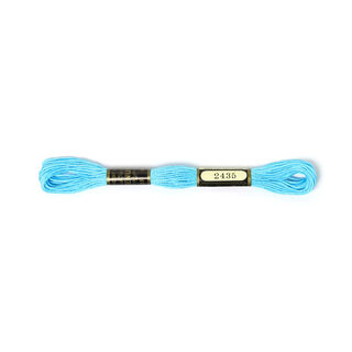 Fil à broder Metis 2435 | DMC 3846, 