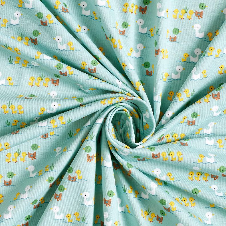 Jersey coton Canetons et poussins – bleu clair,  image number 3