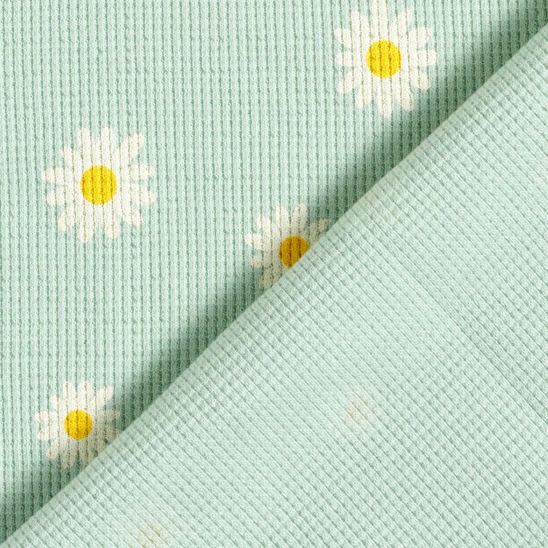 Jersey gaufré marguerites – menthe clair, image number 4