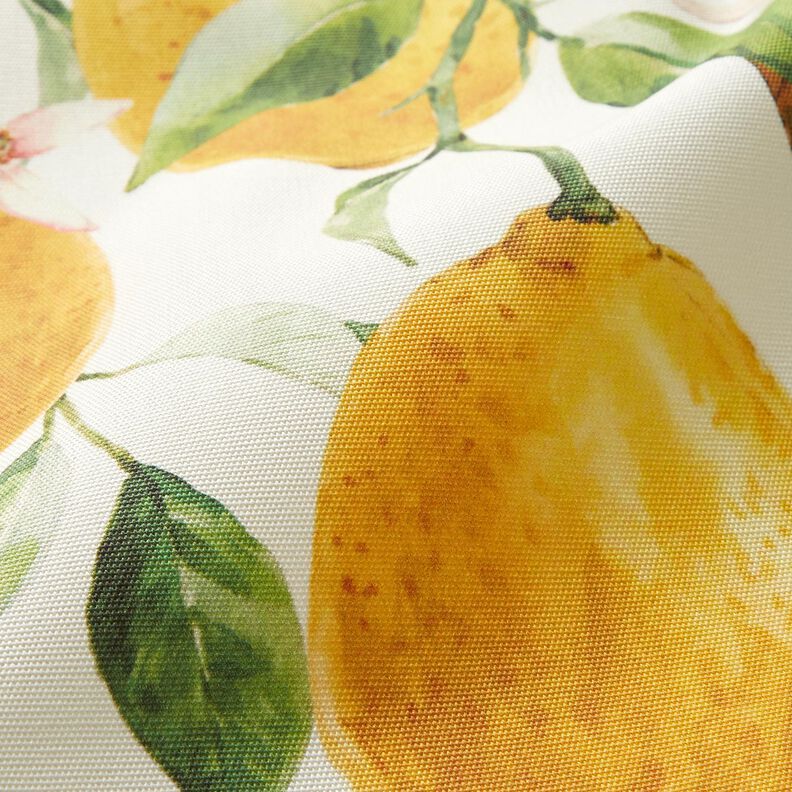 Tissu d’extérieur Canvas Citrons – ivoire/jaune citron,  image number 3