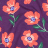 lilas rouge