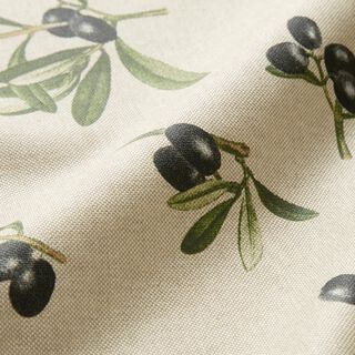 Coton enduit Rameaux d’olivier – nature/pin, 