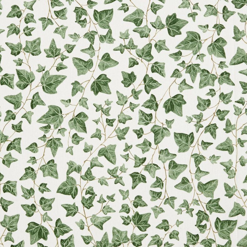 Tissu de décoration Semi-panama Lierre grimpant – blanc/vert,  image number 1