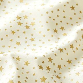 Tissu en coton Cretonne Ciel étoilé de Noël petit – blanc, 