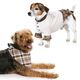 Manteau pour chiens, Burda 7752,  thumbnail number 4