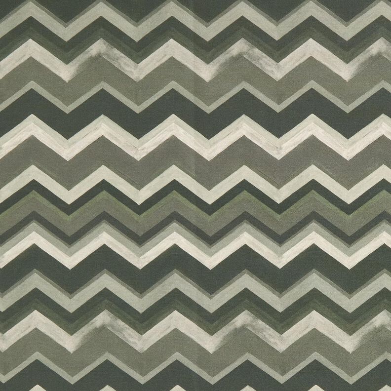 Tissu d’extérieur Canvas Pointes – pin, image number 1
