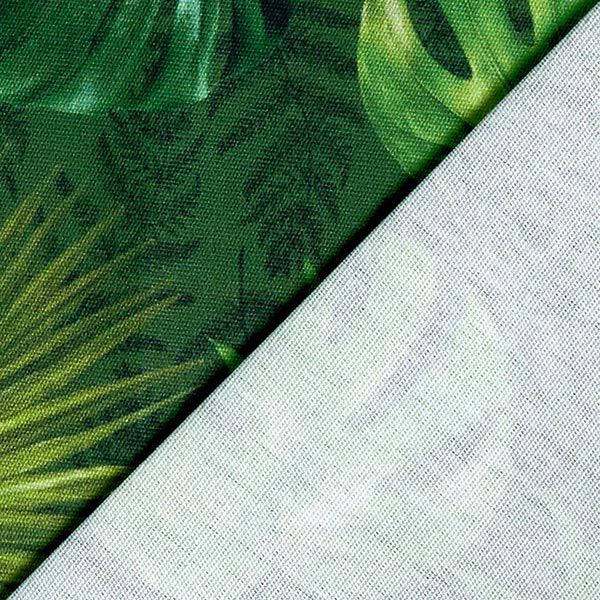 Tissu d’extérieur Canvas Feuilles de palmier – olive,  image number 4