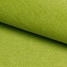 vert pomme