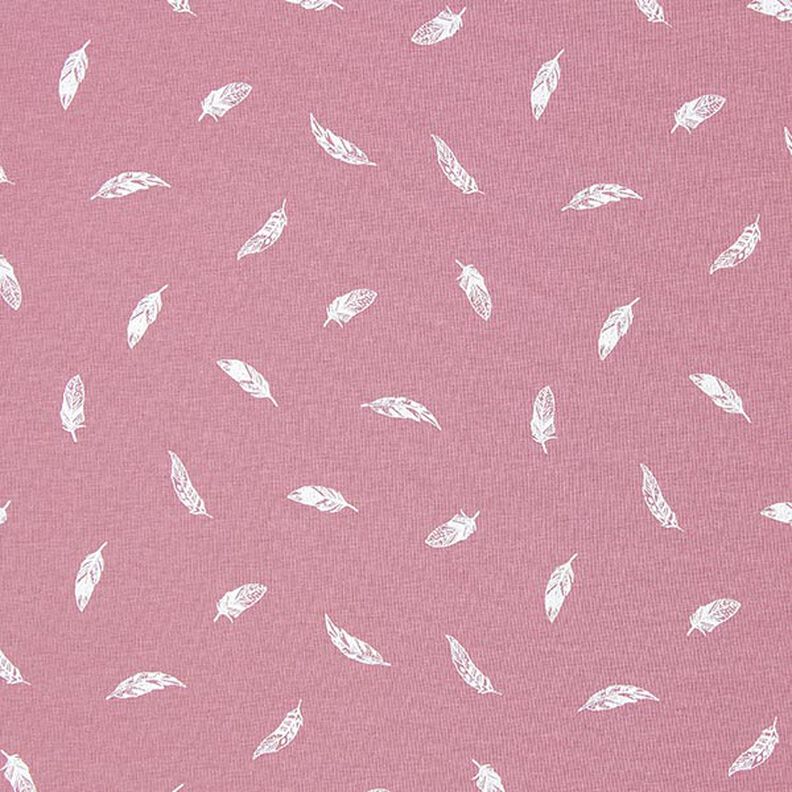 Jersey coton Plumes – vieux rose,  image number 1