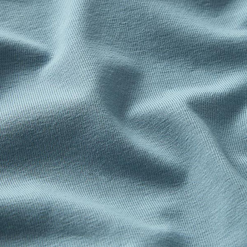GOTS Jersey coton | Tula – bleu pigeon,  image number 2