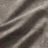 gris pierre