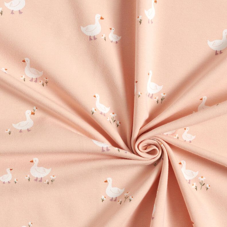 Jersey coton Oies et fleurs – rosé, image number 3
