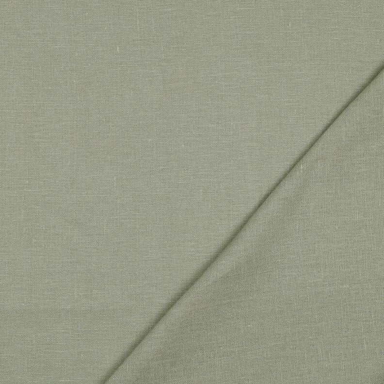 Lin européen uni – roseau,  image number 3