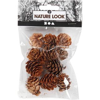 Cônes de mélèze [12pcs], 