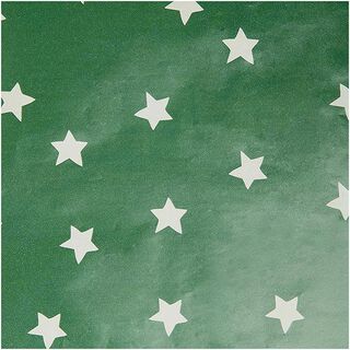 Papier cadeaux Étoiles | Rico Design – vert, 